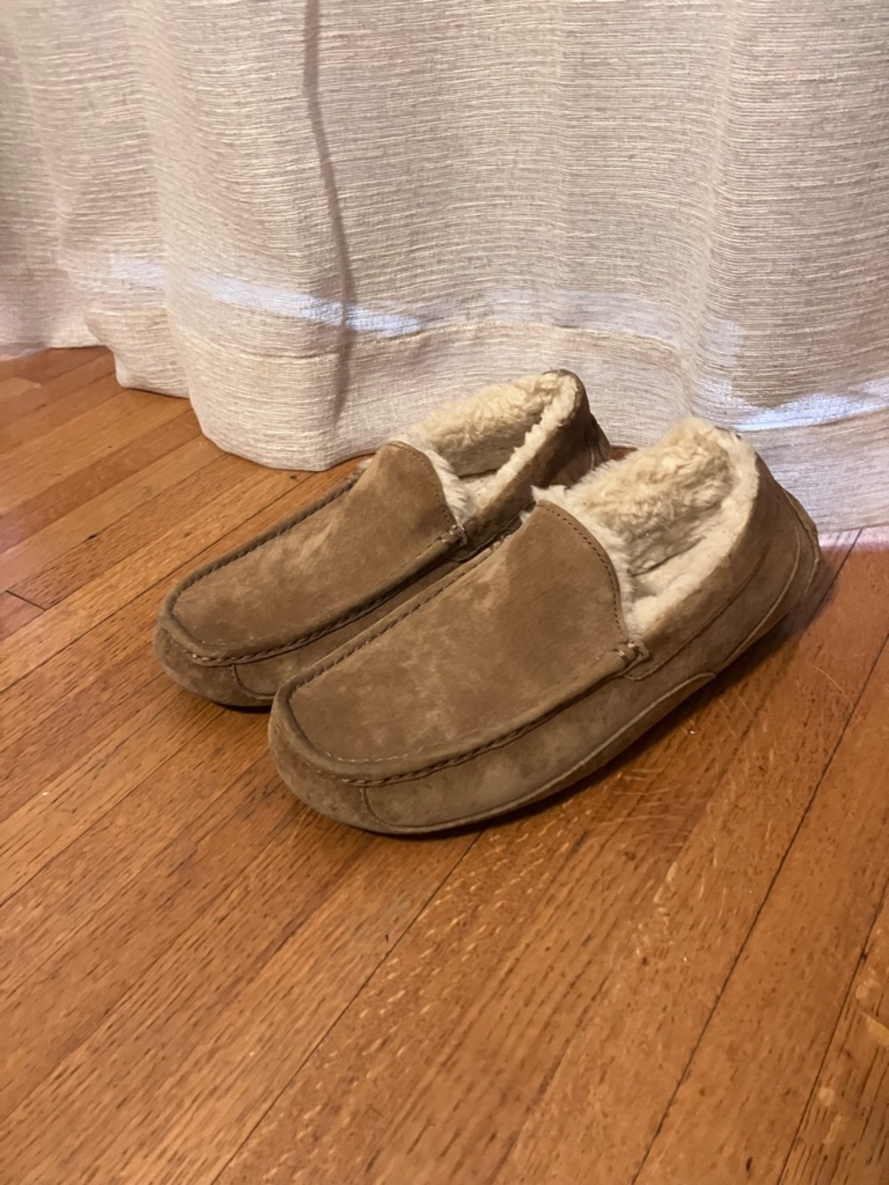 Ugg Ascot Slipper - Picture 5 of 5